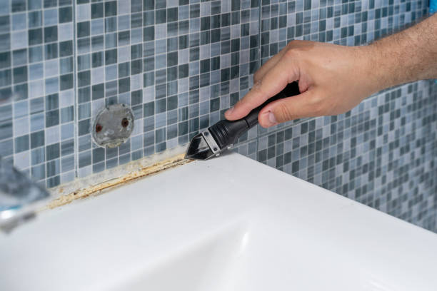 Best Mold Testing  in Webster Groves, MO