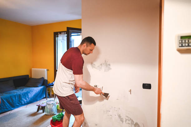 Best Crawl Space Mold Removal  in Webster Groves, MO